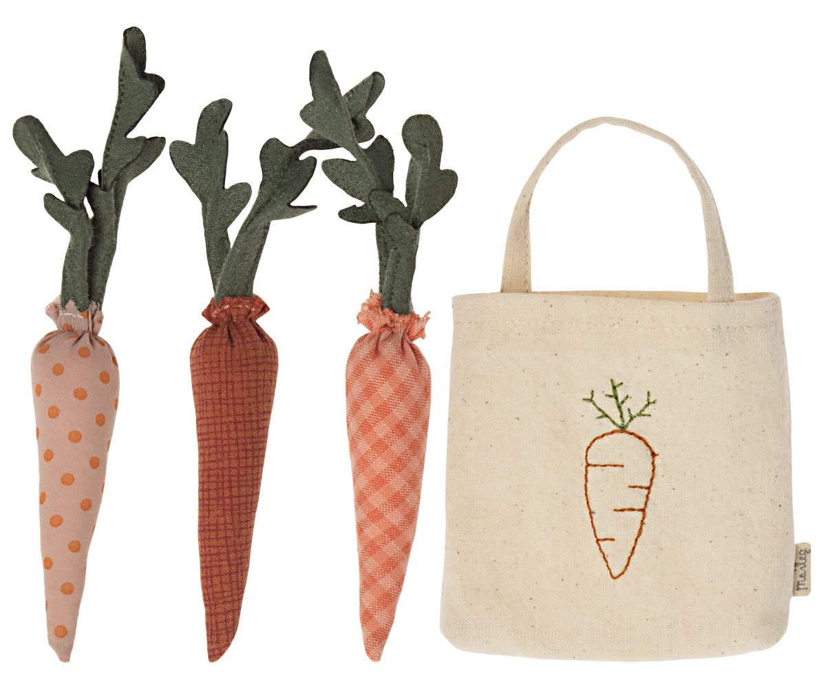 Carrots in Shopping Bag