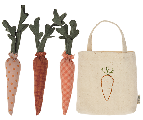 Carrots in Shopping Bag
