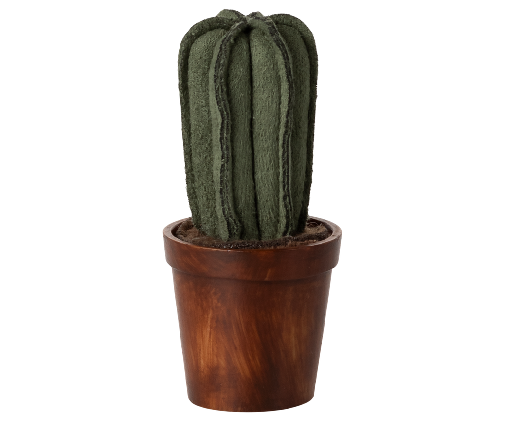 Flower pot with cactus