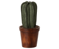 Flower pot with cactus