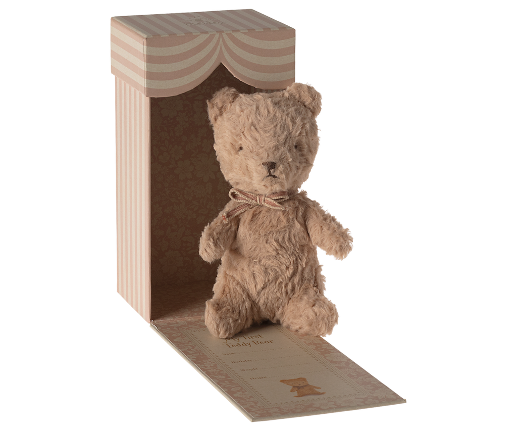 My first teddy - Powder