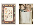 Twins, Baby mice in matchbox