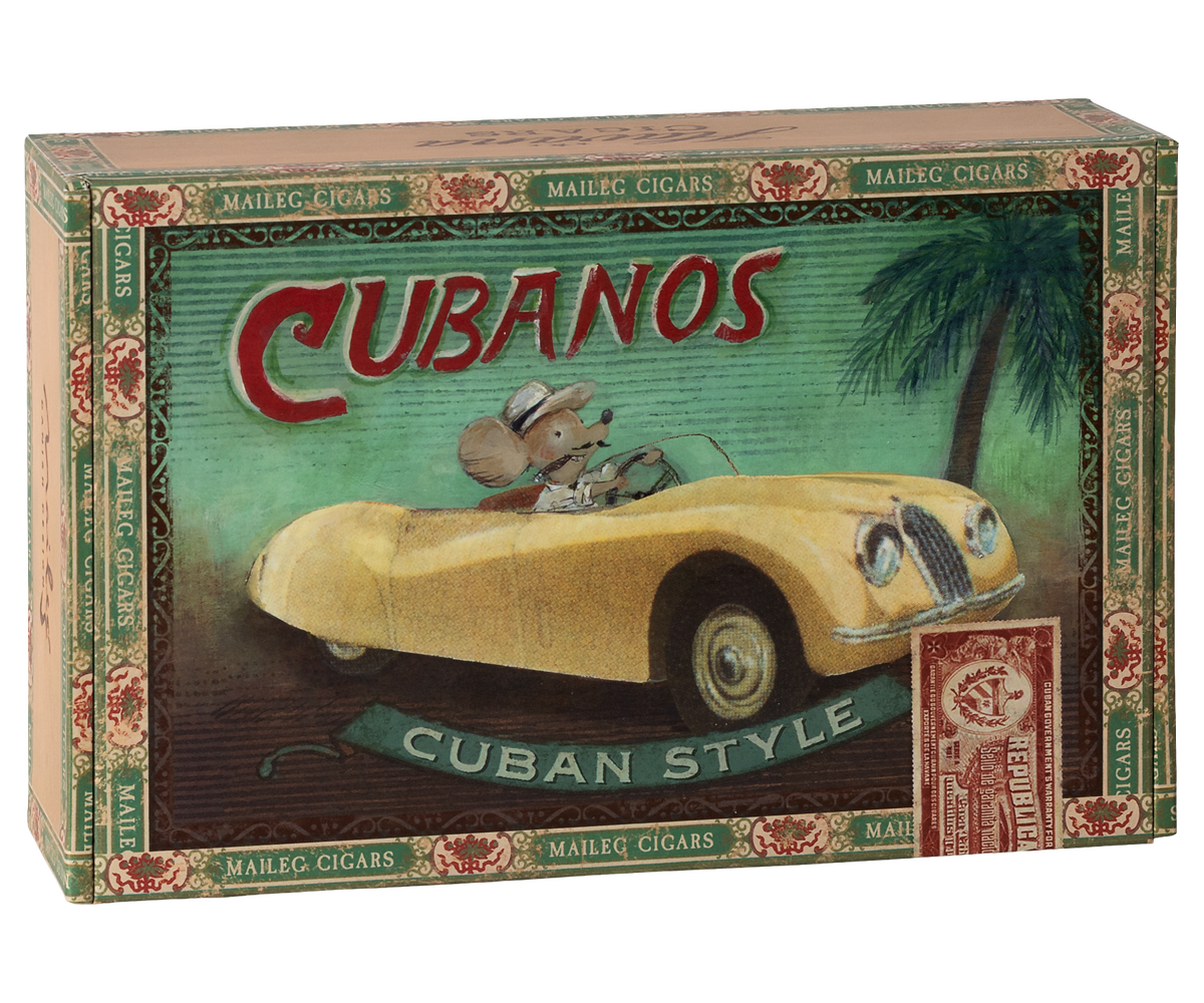 Grandma and grandpa mice in cigarbox